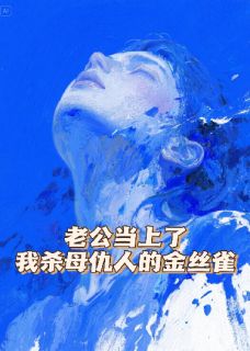 老公当上了我杀母仇人的金丝雀李孟则王若思-小说txt全文阅读