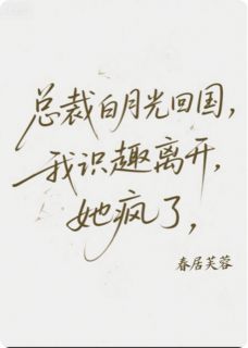 总裁白月光回国我识趣离开她疯了(沈清伊可云)精彩小说目录阅读-随缘阅读网