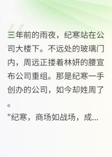 好书推荐破产后，我成了死对头的投资人纪寒周远苏沫全文在线阅读