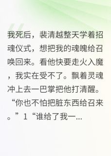 余生再无倾城雪裴清越夏天免费全章节目录阅读
