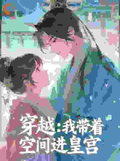 一缕阳光下的猫的小说穿越：我带着空间进皇宫全文阅读