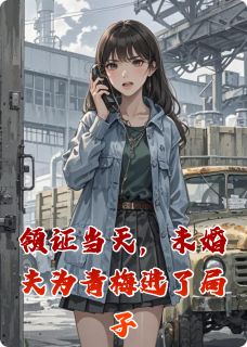 主角是陈辉李志高苏晚意的小说领证当天，未婚夫为青梅进了局子最完整版热门连载