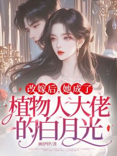 快手改嫁后，她成了植物人大佬的白月光小说全本章节大结局