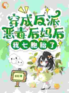 无广告小说魂穿村姑宝妈，我拿捏厂长养全家-叶澜歌霍子洲在线阅读