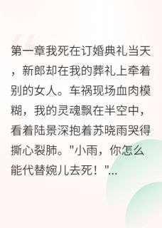 天气闷热想唱歌写的小说陆总太太死而复生了在线阅读-随缘阅读网