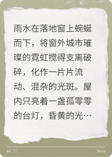 灰白总裁与他的调色师(林晚沈聿白)全文完整版阅读-随缘阅读网