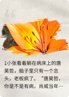 全网首发完整小说捐肾给情敌后情敌歇菜了主角江离唐昊哲在线阅读