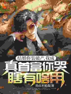 无广告小说结婚你装破产，我成真首富你哭瞎有啥用？-顾北辰虞彤裴安在线阅读