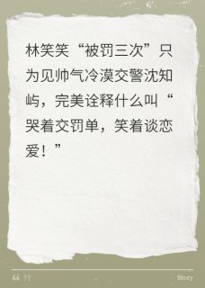 罚单也是缘分林笑笑沈知屿罚单也是缘分全文免费阅读【完整章节】