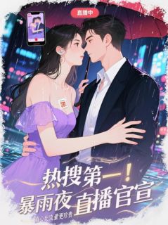 良心推荐热搜第一！暴雨夜直播官宣小说试读