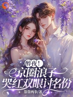 醉夜！京圈浪子哭红双眼讨名份乔婉贺随-小说未删减阅读