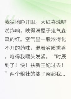 谢昭李忠是哪部小说的主角 穿成病弱王爷的冲喜新娘全文无弹窗