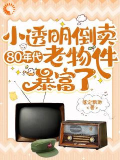 小透明倒卖80年代老物件暴富了完整版-李青彤林云在线全文阅读