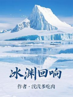 快手南极冰渊回响小说全本章节大结局
