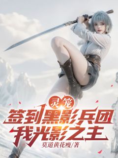 快手灵笼：签到黑影兵团，我光影之主小说全本章节大结局