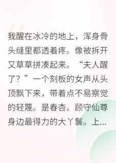 老书虫力荐仙尊，夫人她已经重生了免费无弹窗阅读