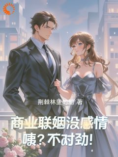 黎夏贺聿琛章节免费阅读