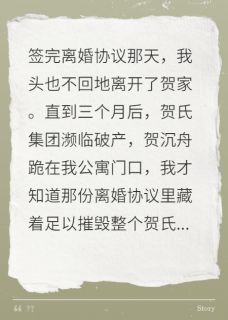 贺先生的最后告白by姜晚晴贺沉舟在线阅读