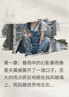 主角苏念沈聿的小说作者电击呱太收藏家