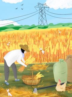 许娇娇苏晓晓张扬全文最新章节正版小说免费阅读