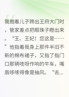 崽崽萧砚小说无广告阅读