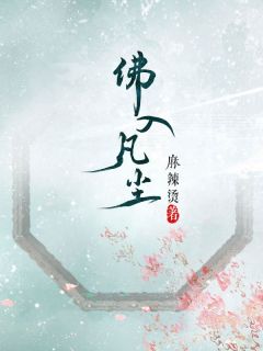 佛入凡尘小说的书名是什么