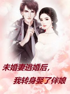 爆款小说未婚妻逃婚后，我转身娶了伴娘在线阅读-陶晓晓程婉婉免费阅读
