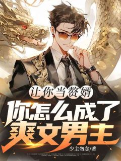 无弹窗小说让你当赘婿，你怎么成了爽文男主 作者少主勿念
