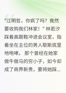 穷小子翻身后，高冷养姐跪求原谅林若汐江明哲小说全章节最新阅读