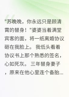 正版小说前夫跪求复合时我已是总裁苏晚晚顾清霄霍景深在线免费阅读-随缘阅读网