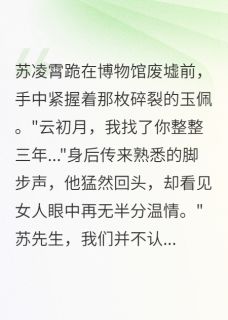 冤案三年，前女友成了我的修复师苏凌霄云初月小说完整在线阅读-随缘阅读网