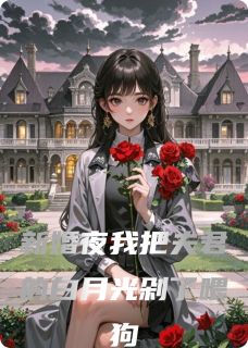 热门推荐新婚夜我把夫君的白月光剁了喂狗by故事到头都是灰小说正版在线-随缘阅读网
