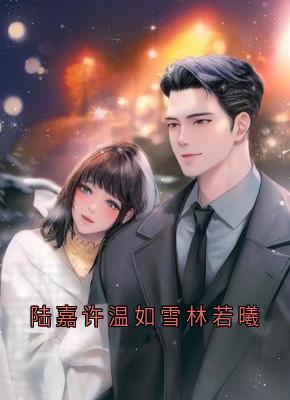 陆嘉许温如雪林若曦小说(完整版)-温如雪陆嘉许章节阅读