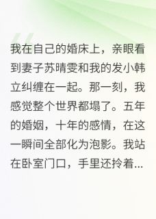 佚名写的小说妻子背叛我后又想用孩子挽回苏晴雯方程韩立全文阅读