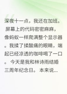 火爆发现妻子穿内衣去见前男友小说，主角是诗雨赵明轩江川在线阅读全文无删减