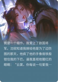 抖音沈砚云瑾小说叫什么名字