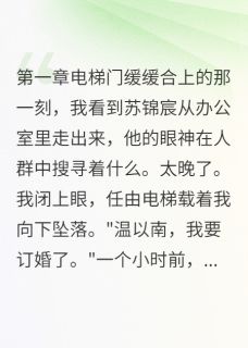 总裁订婚后我辞职了小说(完本)-苏锦宸沈易顾清雅无错版阅读