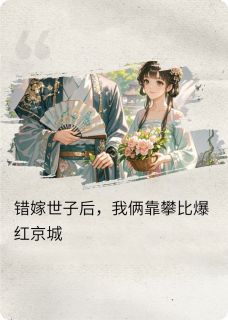 错嫁世子后，我俩靠攀比爆红京城小说主角是苏婉清赵珩全文完整版阅读