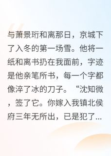 主角萧景珩苏晚卿萧聿小说，镇北侯休妻后，多了个新娘亲？免费阅读全文-随缘阅读网