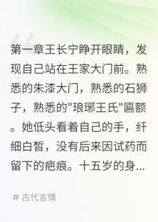 抖音小说朱颜劫：重生之毒医天下王长宁韩文中全文txt