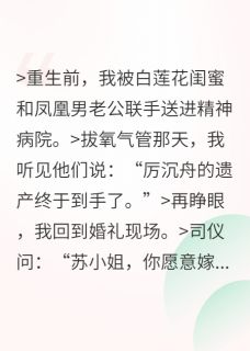 重生后,在婚礼撕婚书扑向死对头小说(完整版)-厉沉舟陈浩林薇薇章节阅读-随缘阅读网