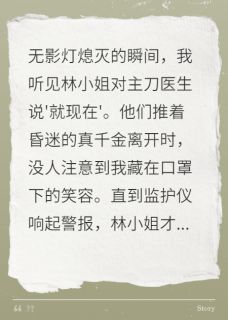 （全本）手术灯熄灭时她在笑主角林晚晴苏玥全文目录畅读-随缘阅读网