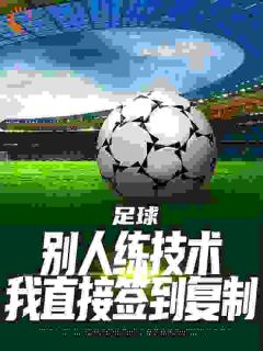抖音小说足球：别人练技术我直接签到复制​，主角叶豪钱大海最后结局小说全文免费