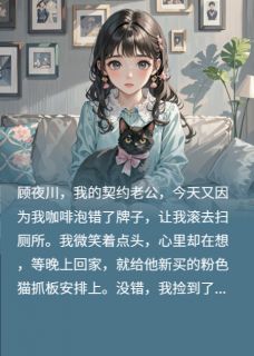 爆款小说总裁，你的猫真软-主角顾夜川煤球苏婉婉在线阅读