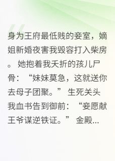 精品小说废妾血书告御状，王爷跪求我饶命全文目录畅读