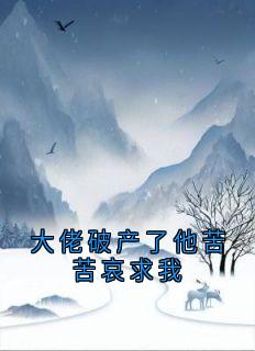 良心推荐大佬破产了他苦苦哀求我小说试读