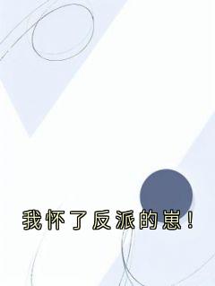我怀了反派的崽！免费小说作者小说家全文阅读