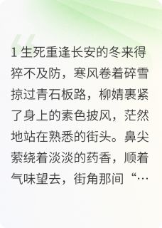 替嫁医女之爱续长安柳婧宇文邕全本小说（替嫁医女之爱续长安）全章节小说目录阅读