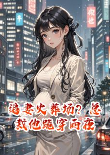 快手苏晚沈聿白主角的小说全本章节大结局-随缘阅读网