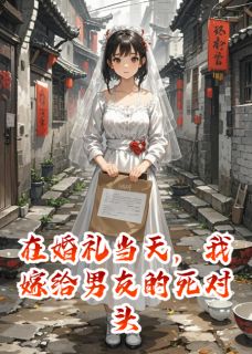 老书虫推荐在婚礼当天，我嫁给男友的死对头 在线阅读